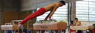 Ayudas del CSD para la protección social de deportistas de alto nivel